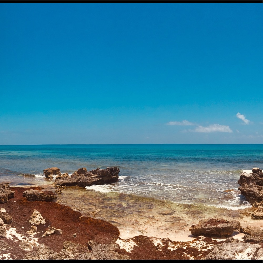 Meet your Posher, Lily